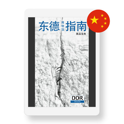 E-Book - DDR Guide chinesisch